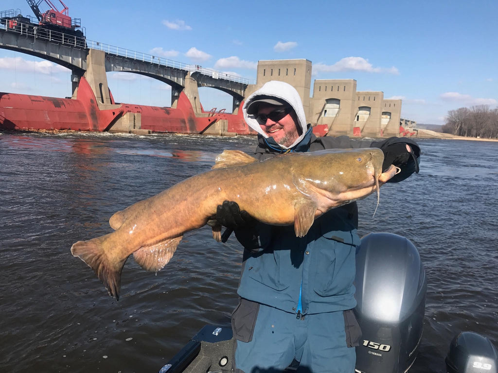 Walleye Gold tames HUGE catfish!!